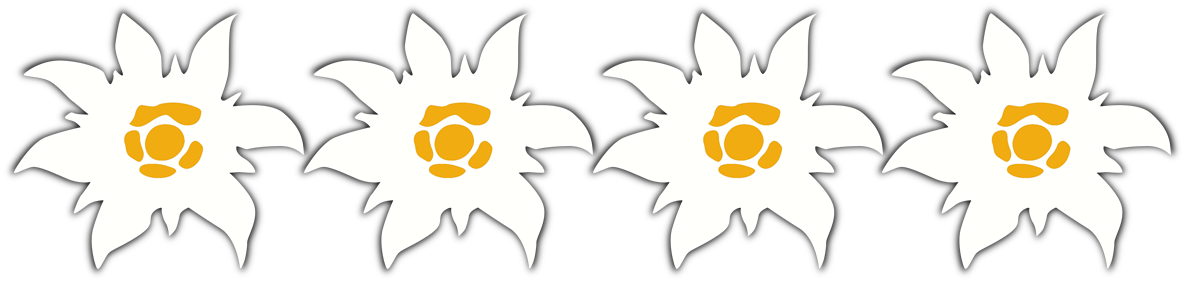 Vier Edelweiß