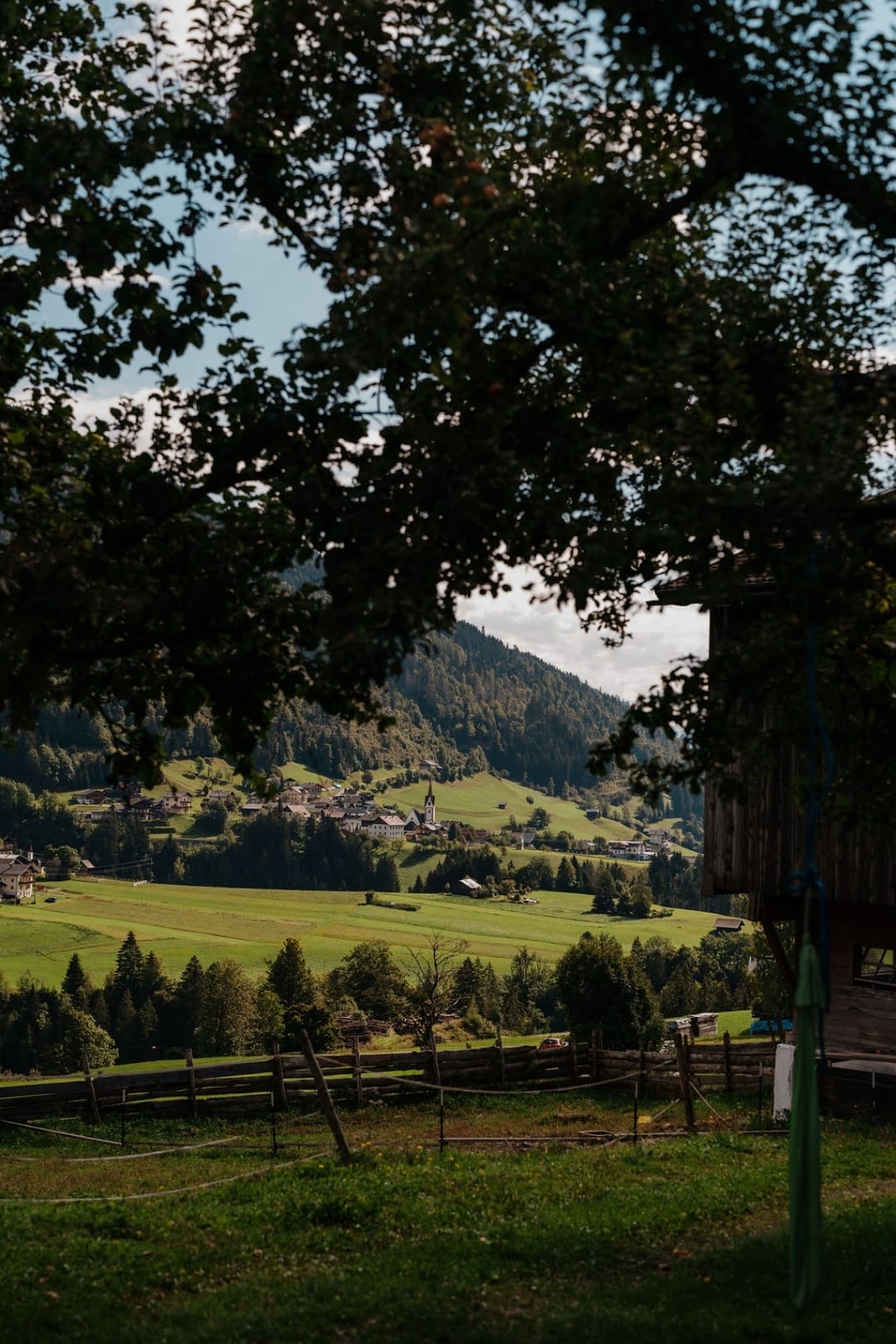 Blick durch die Zweige auf das Dorf und die Bergwiesen des Lesachtals