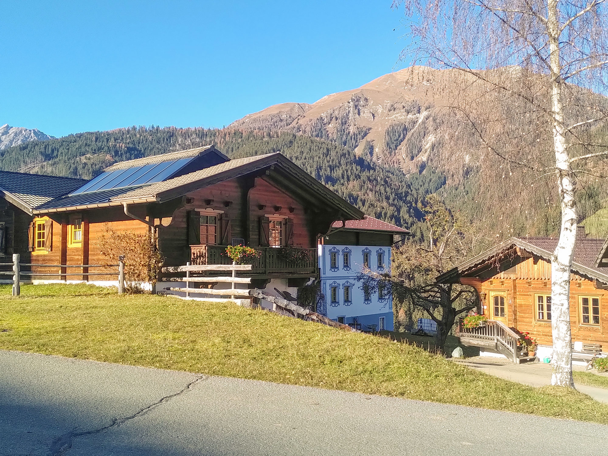 Das Holzblockhaus mit den Ferienwohnungen, dahinter die Karnischen Alpen