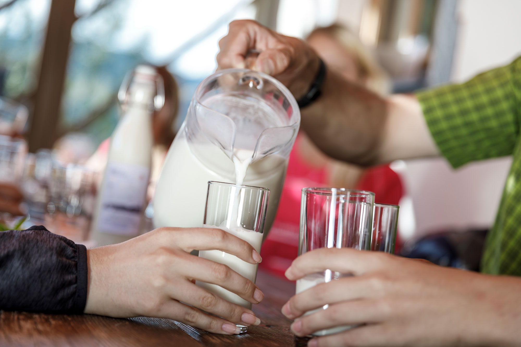 Frische Bio-Wiesenmilch wird eingeschenkt