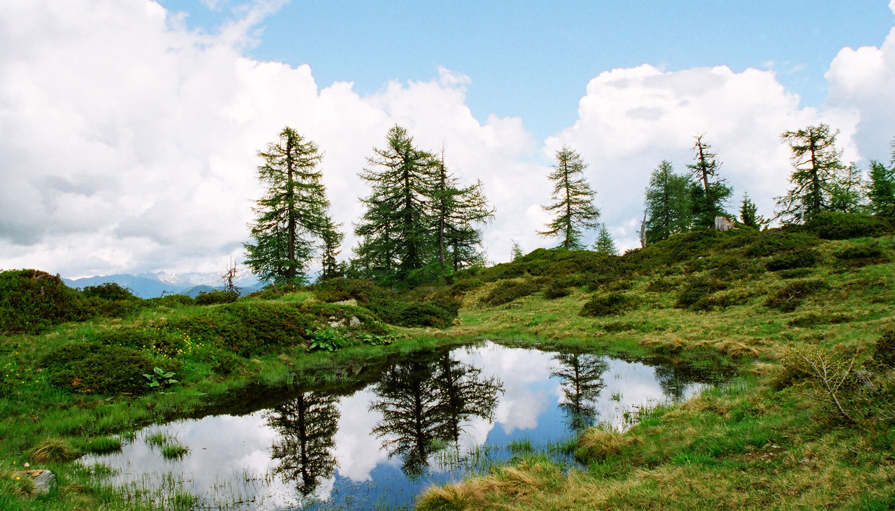 Wandern in der Umgebung des Ederhias